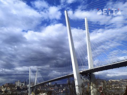 Дорожный конфликт на Золотом мосту во Владивостоке закончился дракой