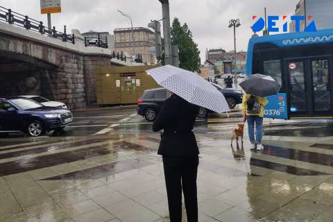 Озвучена погода на майские праздники в Приморье