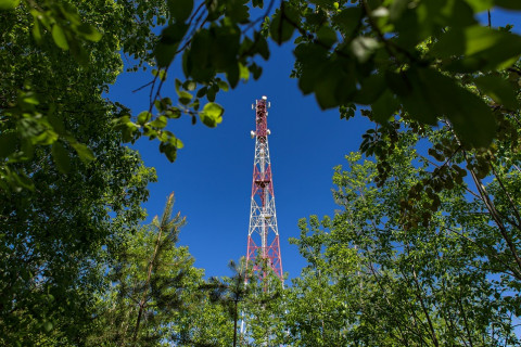 Смартфон против тяпки: для кого в Приморье дача стала местом цифрового отдыха