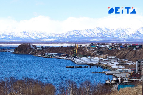 Икорное браконьерство на Камчатке хотят искоренить за полгода