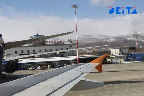 Багаж гостей Камчатки будут проверять на запрещённые "сувениры"