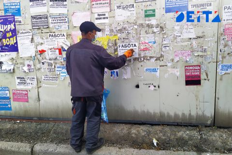 Новый закон о занятости приняли в России 