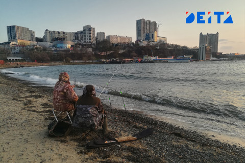 Реальные доходы приморцев сильно просели