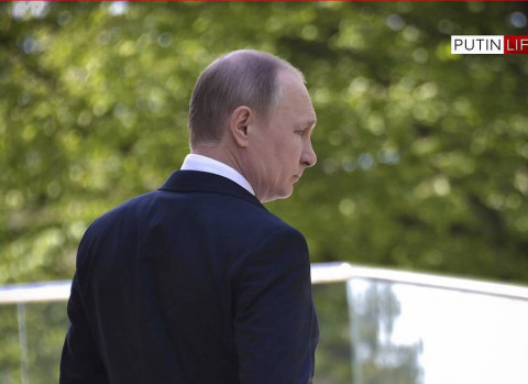 «К бабке не ходи»: Путин сделал важное заявление по лесу