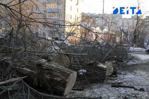 Названа стоимость ликвидации последствий ледяного дождя в Приморье