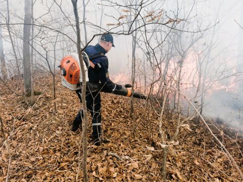 Пожар в черте Владивостока тушат спасатели