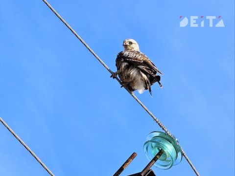 В Приморье наметится потепление