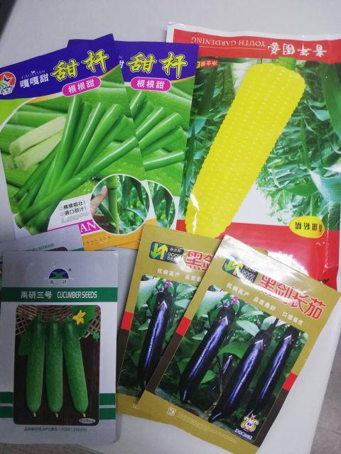 Провезти крупную партию семян из Китая не позволили на таможне