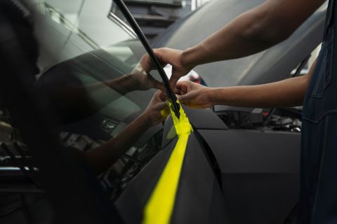 Соколы Жириновского просят разрешить тонировку автомобилей