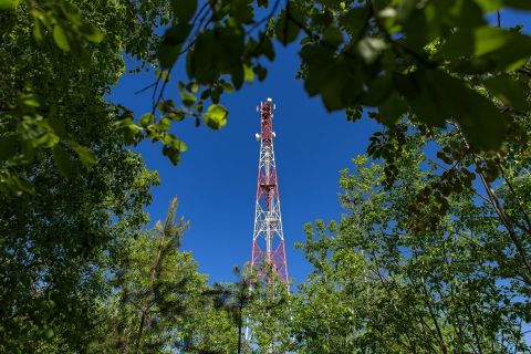МегаФон улучшил качество сети для участников Восточного экономического форума