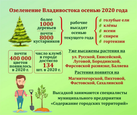 Масштабное озеленение Владивостока продолжится осенью