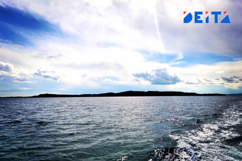 Мишустин занялся дальневосточными рыбоводными участками