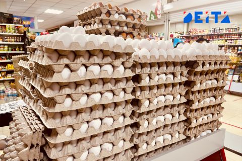 Яйца подорожают: цены на популярный продукт вырастут в ноябре