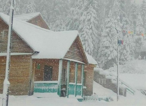 Весны не будет: русские сурки проспали свой день