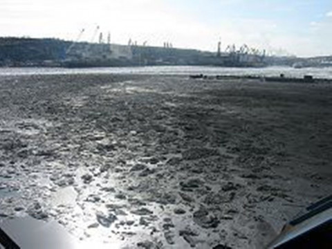 Пыль в глаза: Дегтяреву рассказали, почему снег черный