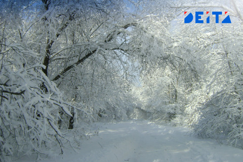 Тёплые и снежные выходные ждут приморцев