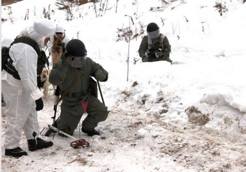 Диверсанты заминировали Климовский район в Брянской области