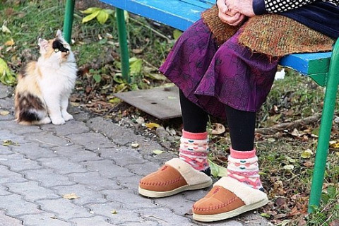 Никита Кричевский объяснил, зачем ПФР получает дополнительные средства из бюджета