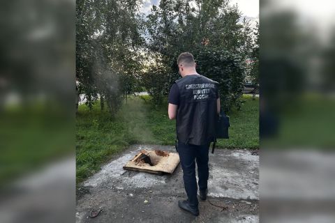 Следком занялся расследованием дела мальчика, получившего ожоги в яме с кипятком