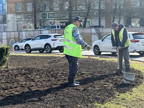 Садят сегодня, красота – в 2024: тысячи тюльпанов украсят Владивосток