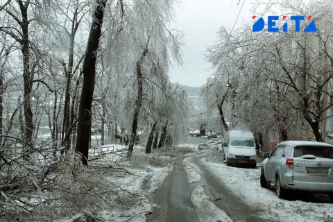 Потепление придёт в Приморье в начале недели