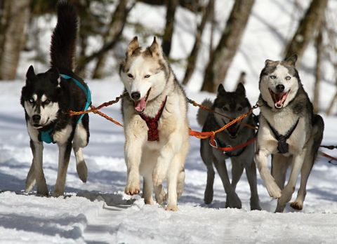 Новый реестр россиян хотят создать в Госдуме