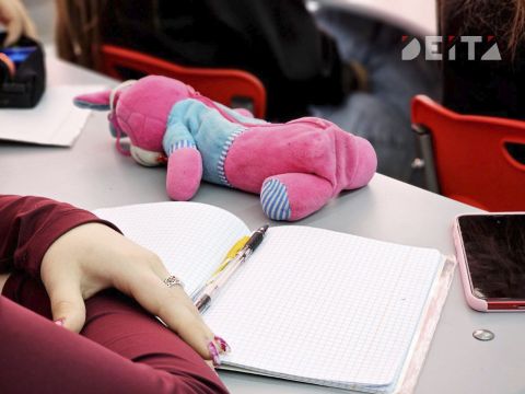 Бастрыкину напомнили об уголовном деле о насилии подростков над второклассницей в Приморье