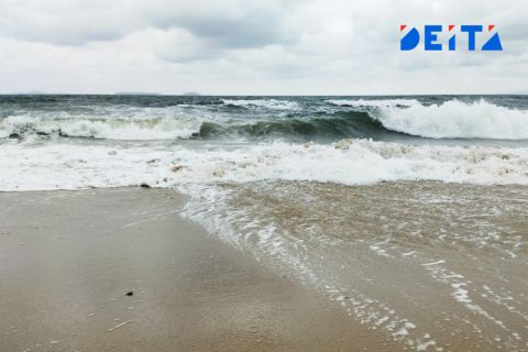 Турецкая компания прекратила все судоходные операции с Россией после атак на танкеры