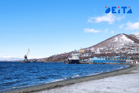 Жители Камчатки встретили медведя в туалете