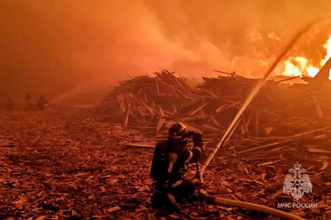 Третье лесопромышленное предприятие за неделю горит в Приморье