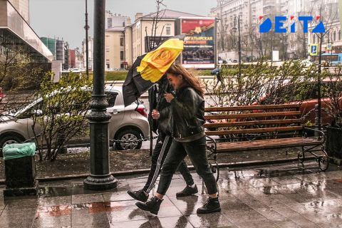 ИИ-решение для экомониторинга может появиться в Приморье