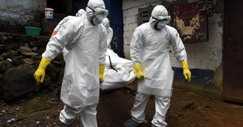 Карантин из-за чумы введен в четырех районах Приморья