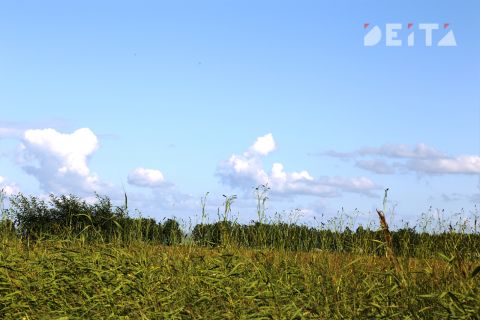 Неделя начнётся с солнца: синоптики рассказали о ясных днях в Приморье