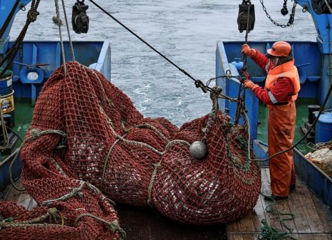 В море идут одни старики: Яровая негодует