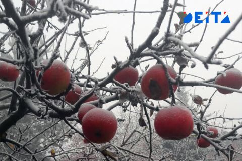 На выходных в Приморье местами возможен снег