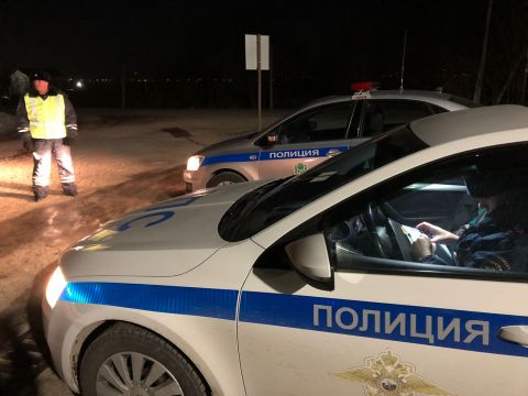 Пьяная дама ночью обидела госавтоинспекторов в Приморье