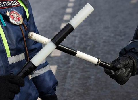 Водителей предупредили о штрафе ГИБДД из-за насекомых