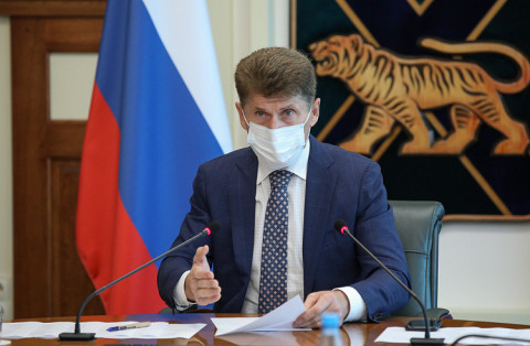 Кожемяко поручил улучшить экологическую ситуацию под Владивостоком в кратчайшие сроки