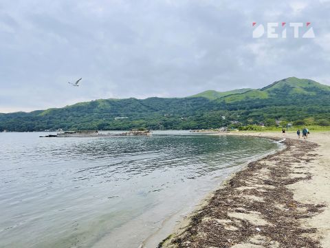 Круглогодичный курорт в Приморье примет первых туристов в 2028 году