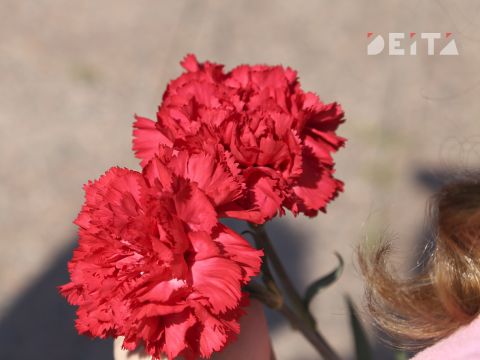 Школьники осквернили могилы героев СВО в Приморье