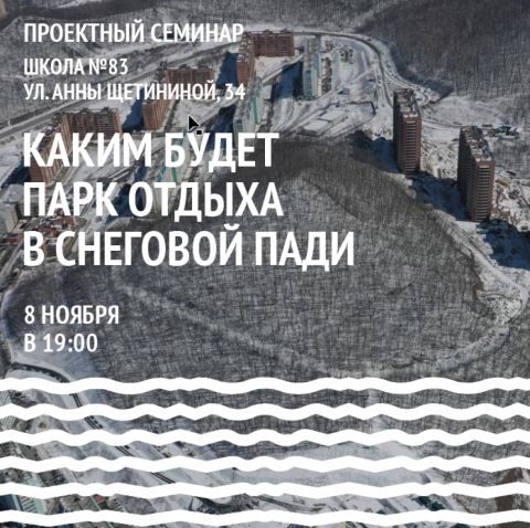 Судьбу парка решат владивостокцы