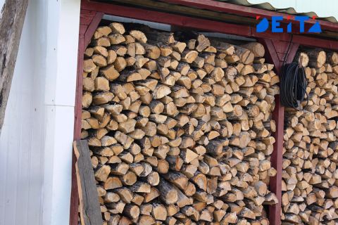 Некачественные льготные дрова продолжают поставлять пенсионеркам Приморья