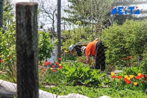 Россиянам заплатят за огороды - Мишустин пообещал господдержку дачникам