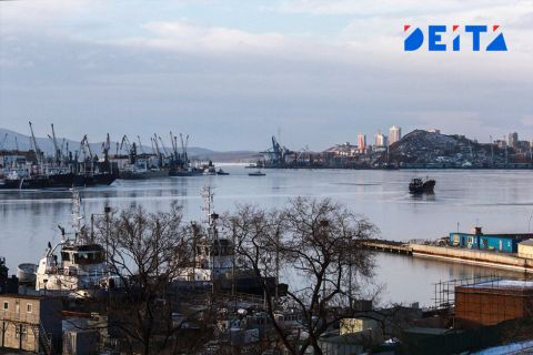 Новый вид общественного транспорта обещают Владивостоку