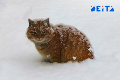 Морозная и ветреная погода ожидается в Приморье в пятницу