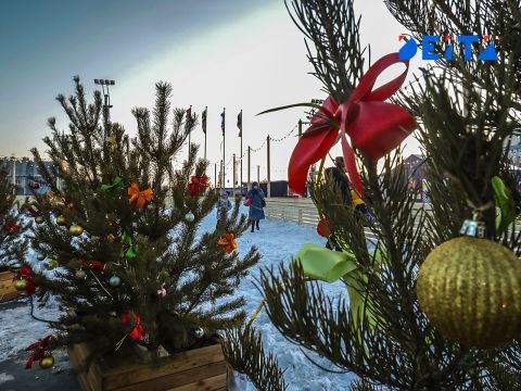 На Новый год в России будет 11 выходных