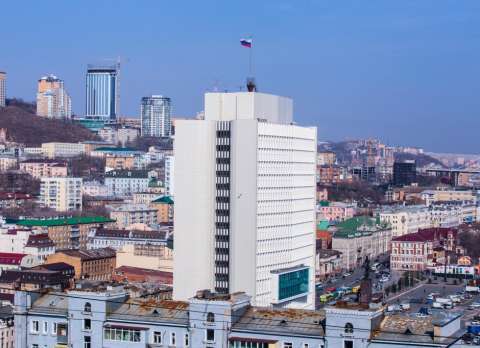 Закон о чипировании принят в Приморье