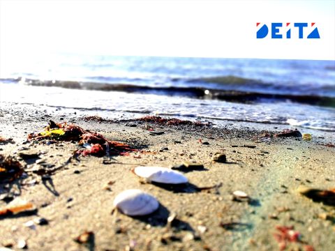 Рыба продолжает гнить на берегу озера в Находке - убирать туши пришлось волонтёрам