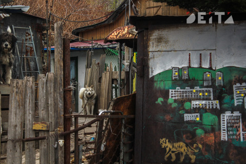 Штрафы до 50 тысяч рублей грозят дачникам России