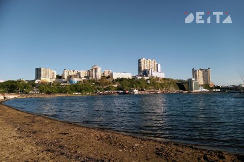 Колёсный экскаватор переехал девочку-подростка на главной набережной Владивостока